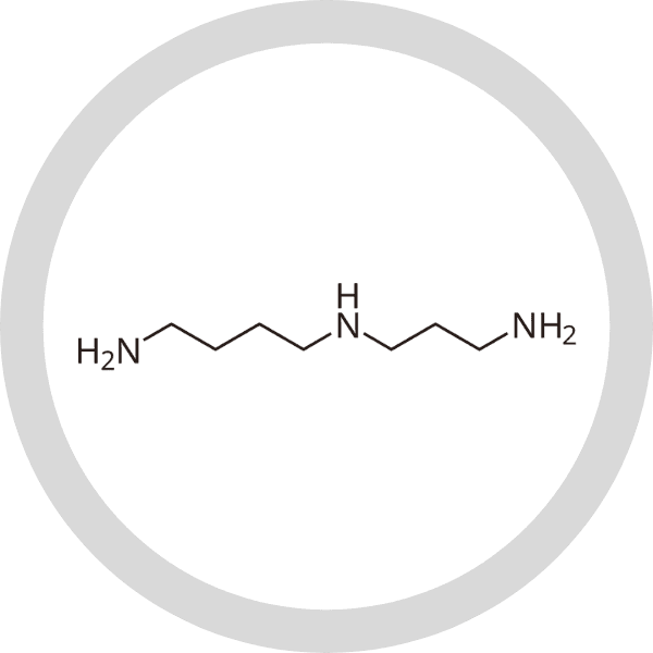 Ingredient illustration published with pure spermidine