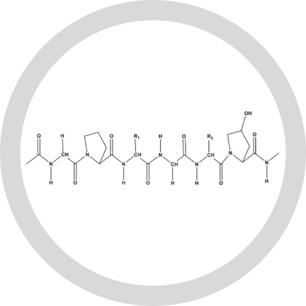 Ingredient illustration published with hydrolyzed collagen peptides