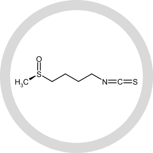 Ingredient illustration published with sulforaboost
