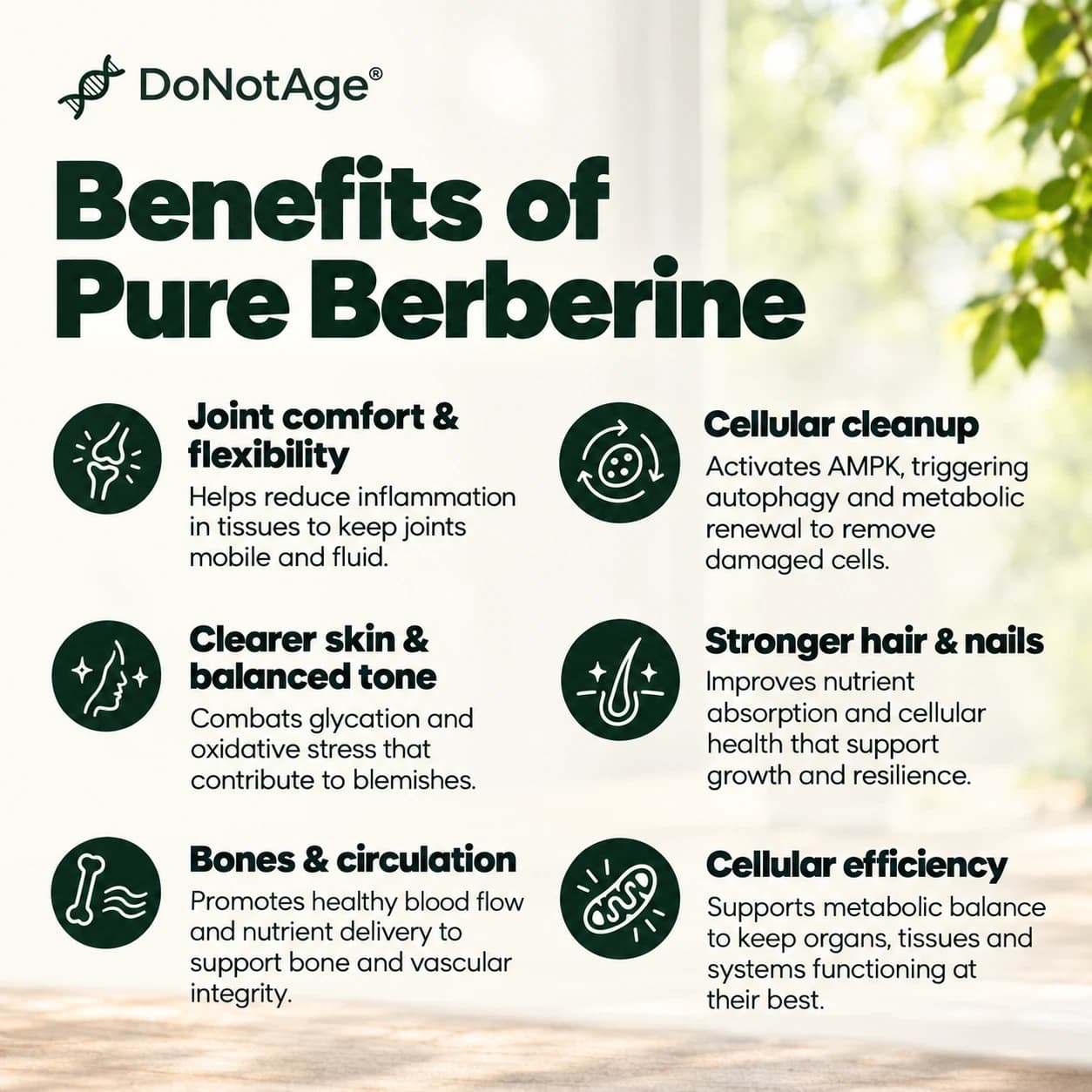 Pure Berberine Supplement, View 4