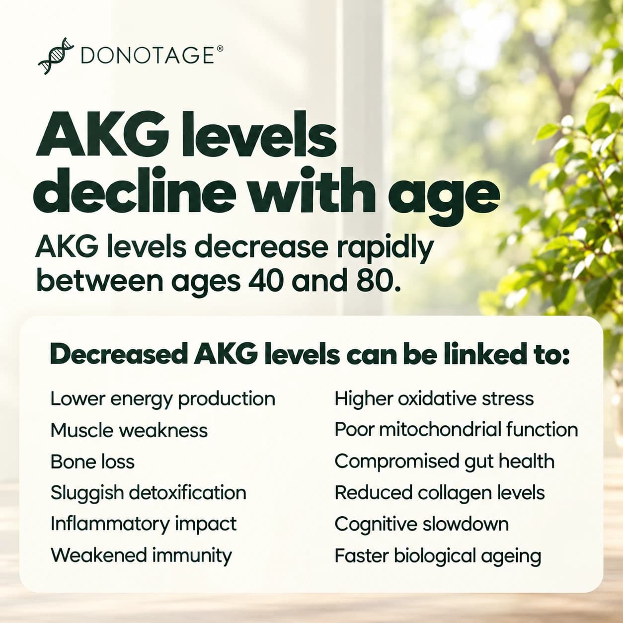Ca-AKG Supplement, View 3
