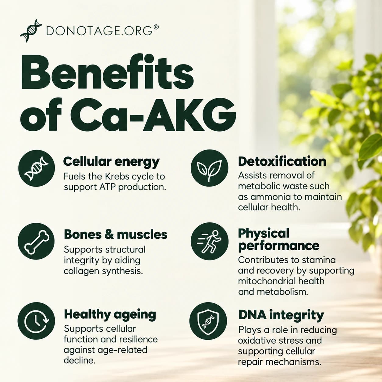 Ca-AKG Supplement, View 4