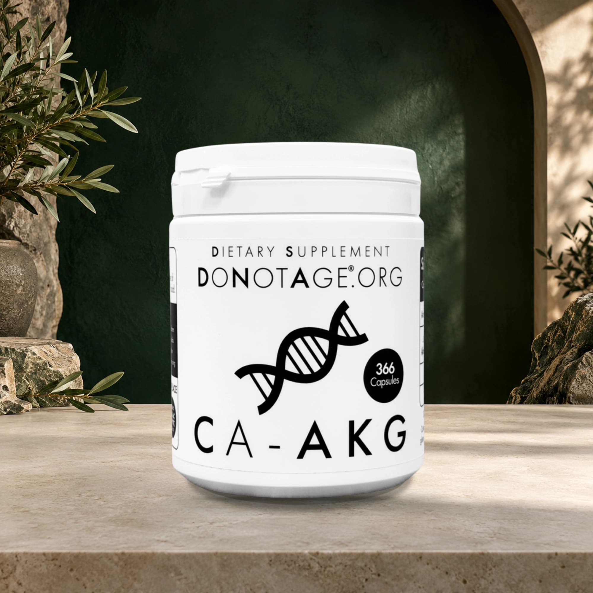 Ca-AKG Supplement