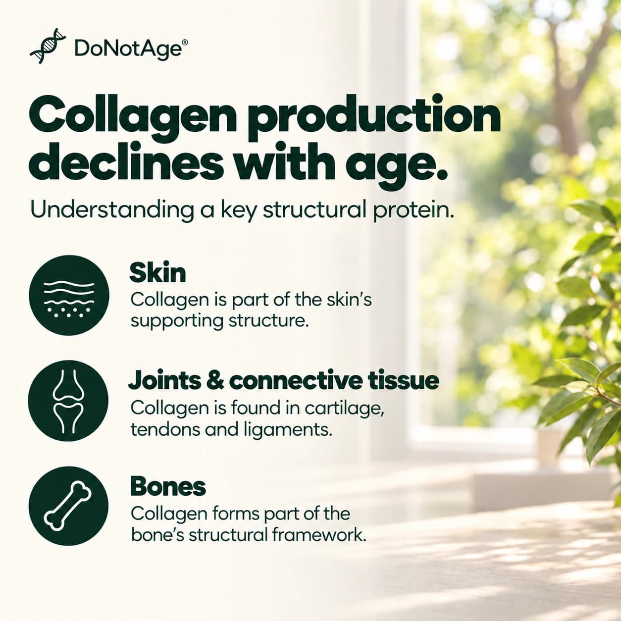 Hydrolysed Collagen Peptides, View 3