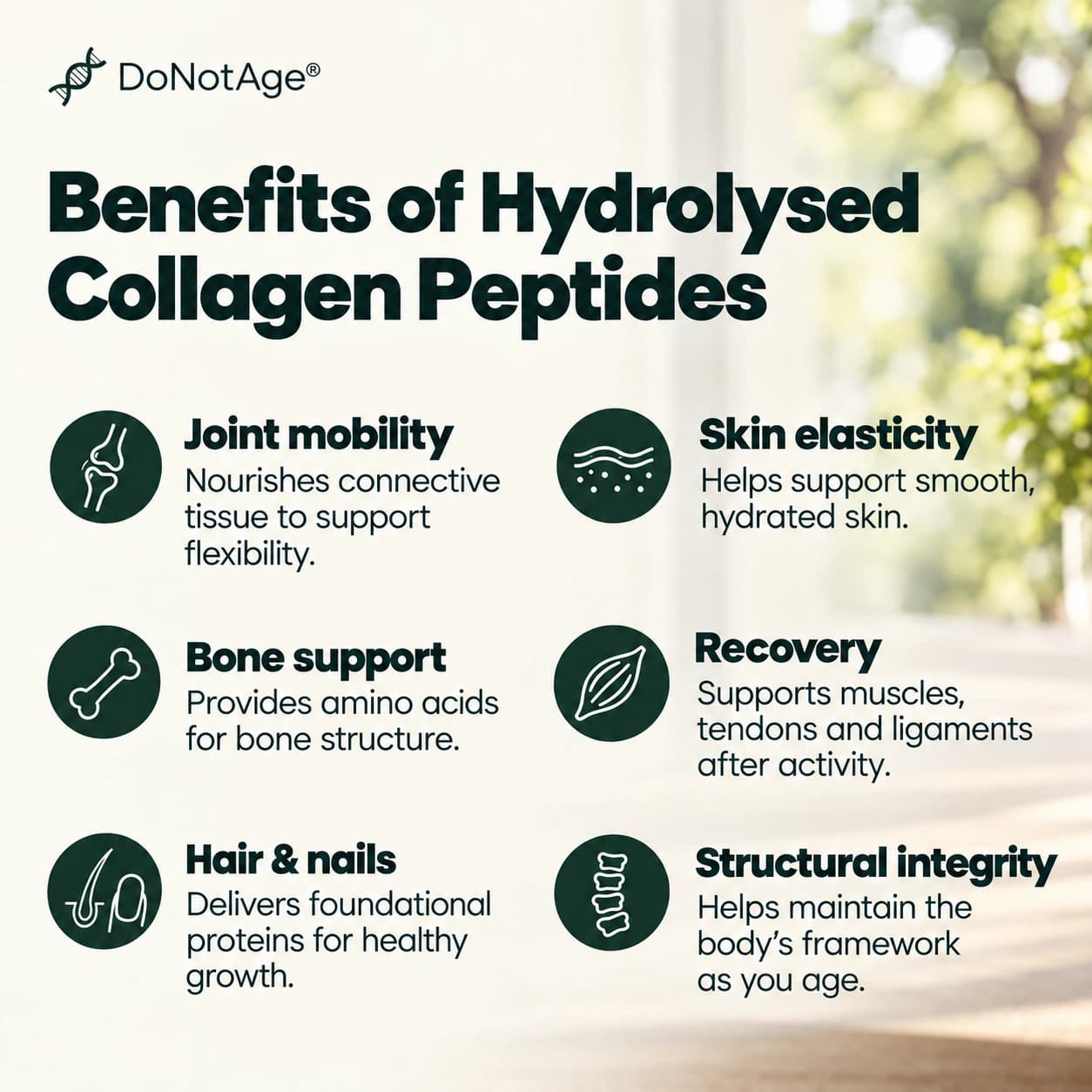 Hydrolysed Collagen Peptides, View 4