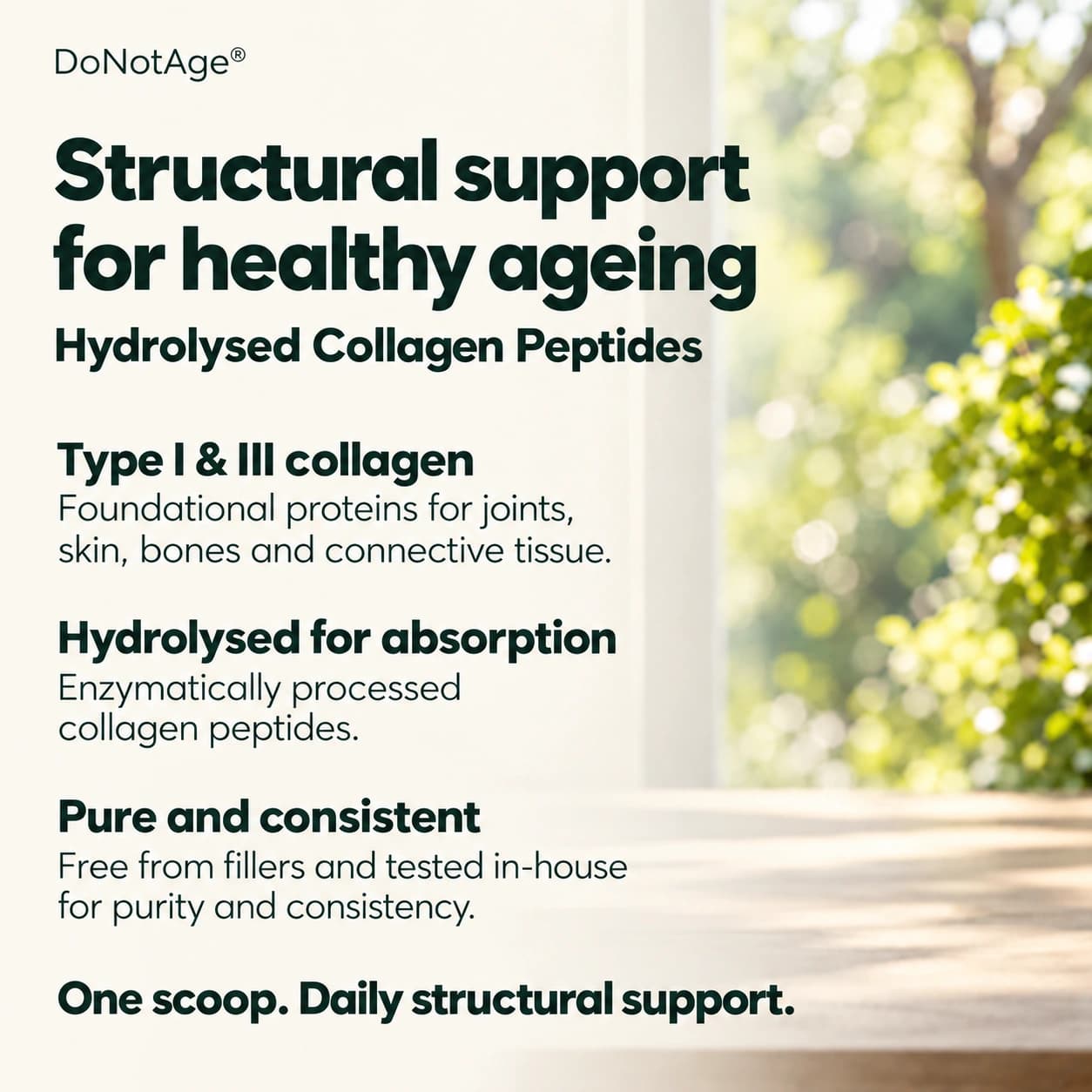 Hydrolysed Collagen Peptides, View 5