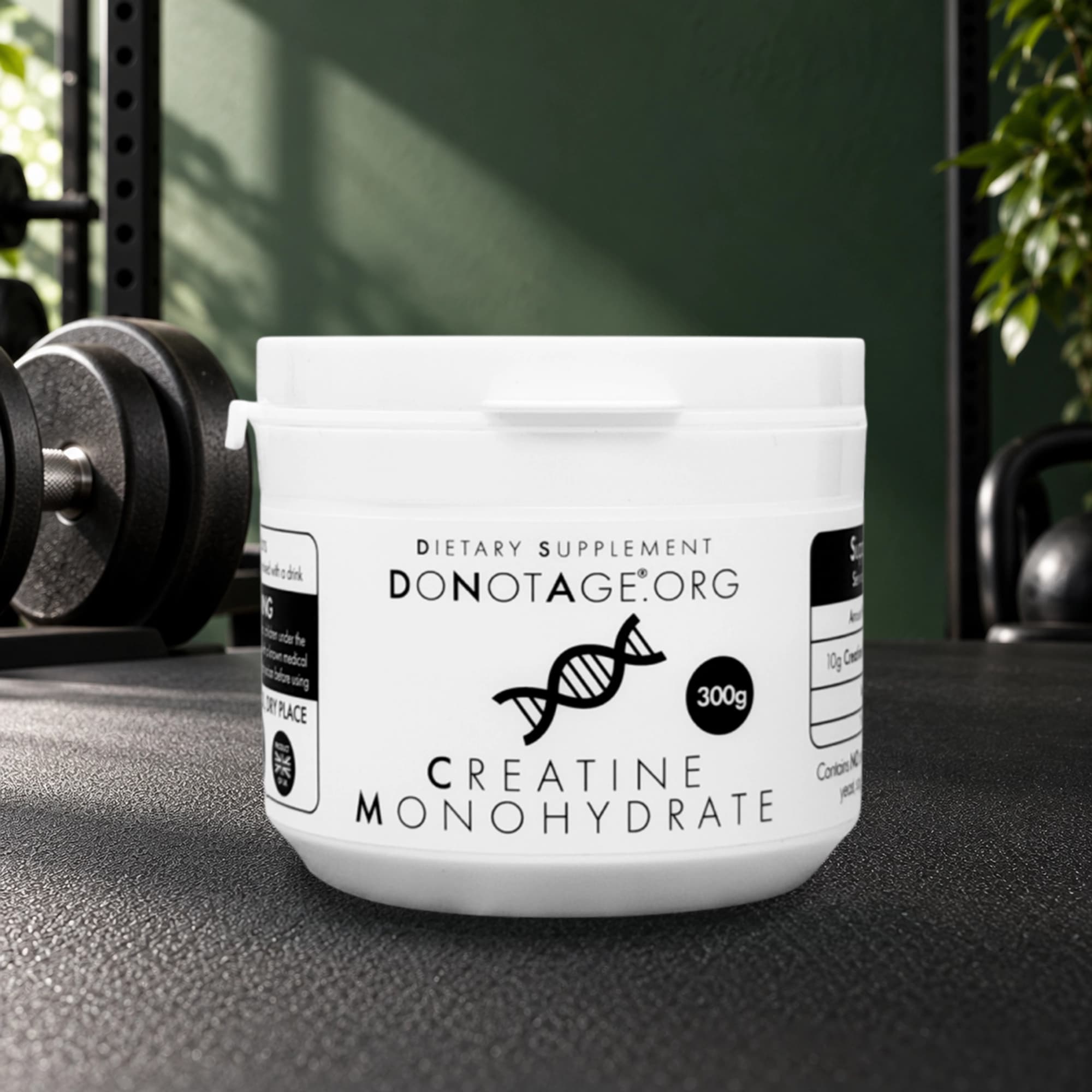 Creatine Monohydrate Powder