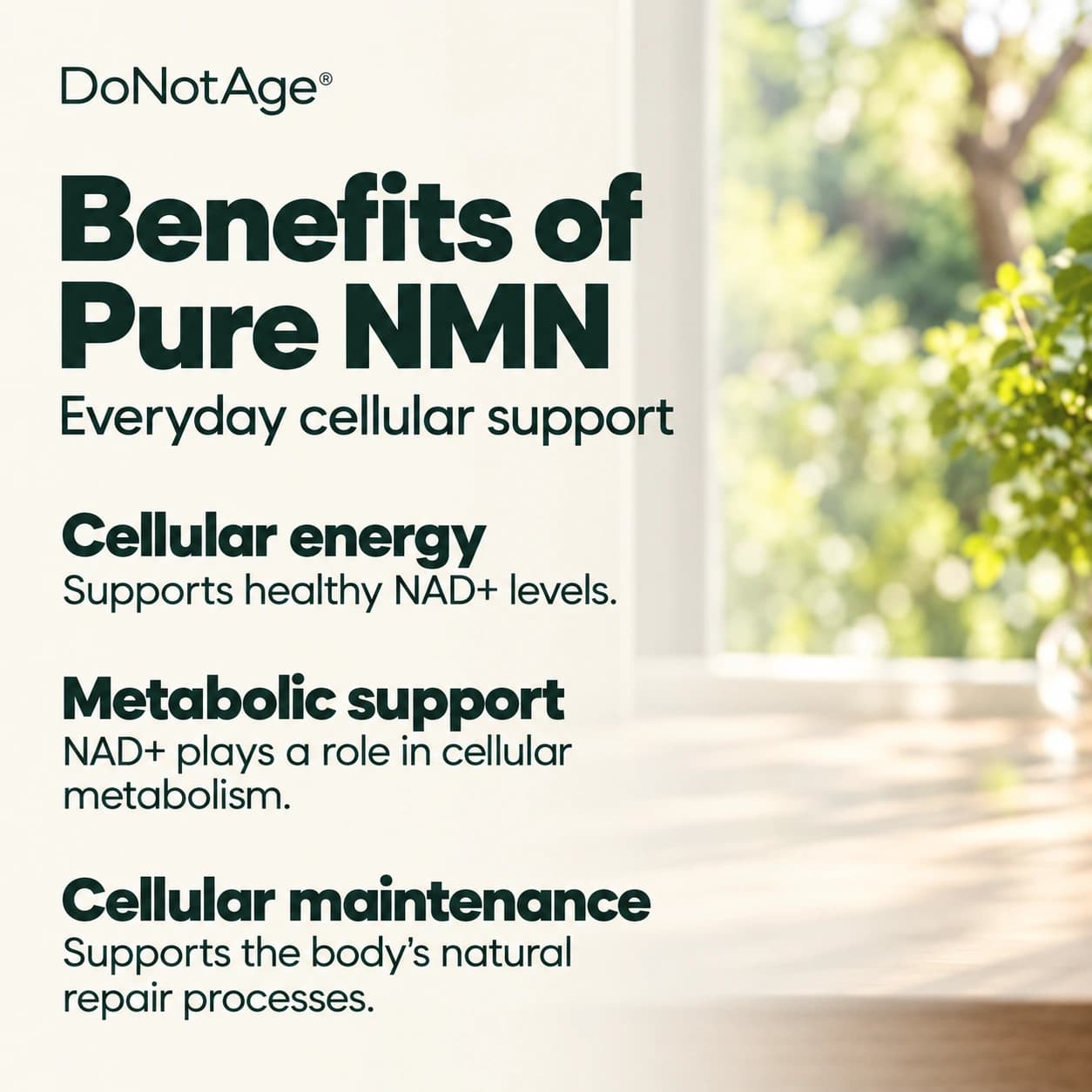 Pure NMN Supplement, View 5