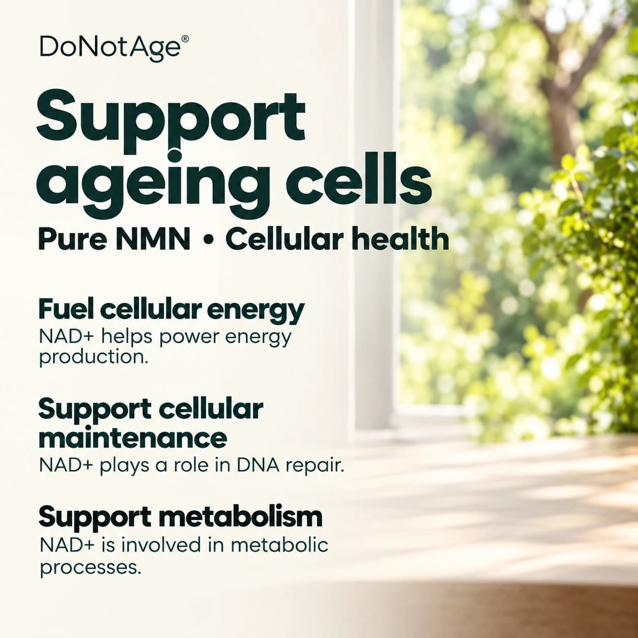 Pure NMN Supplement, View 7