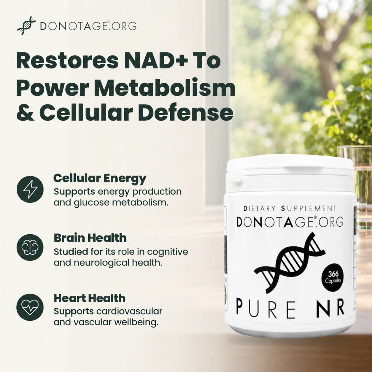 Pure NR Supplement, View 2