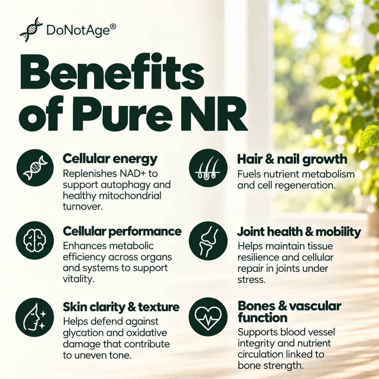 Pure NR Supplement, View 8