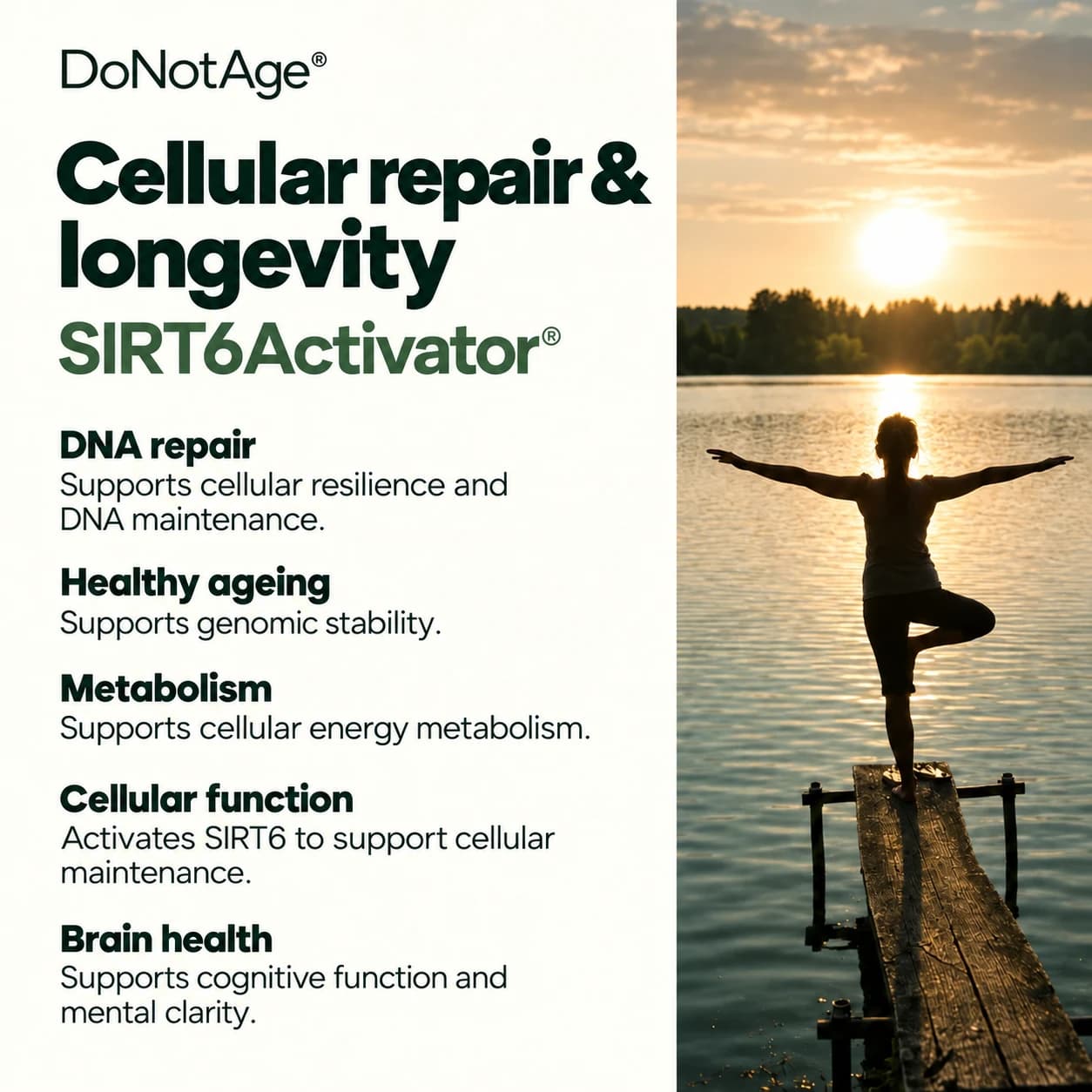 SIRT6Activator®, View 4