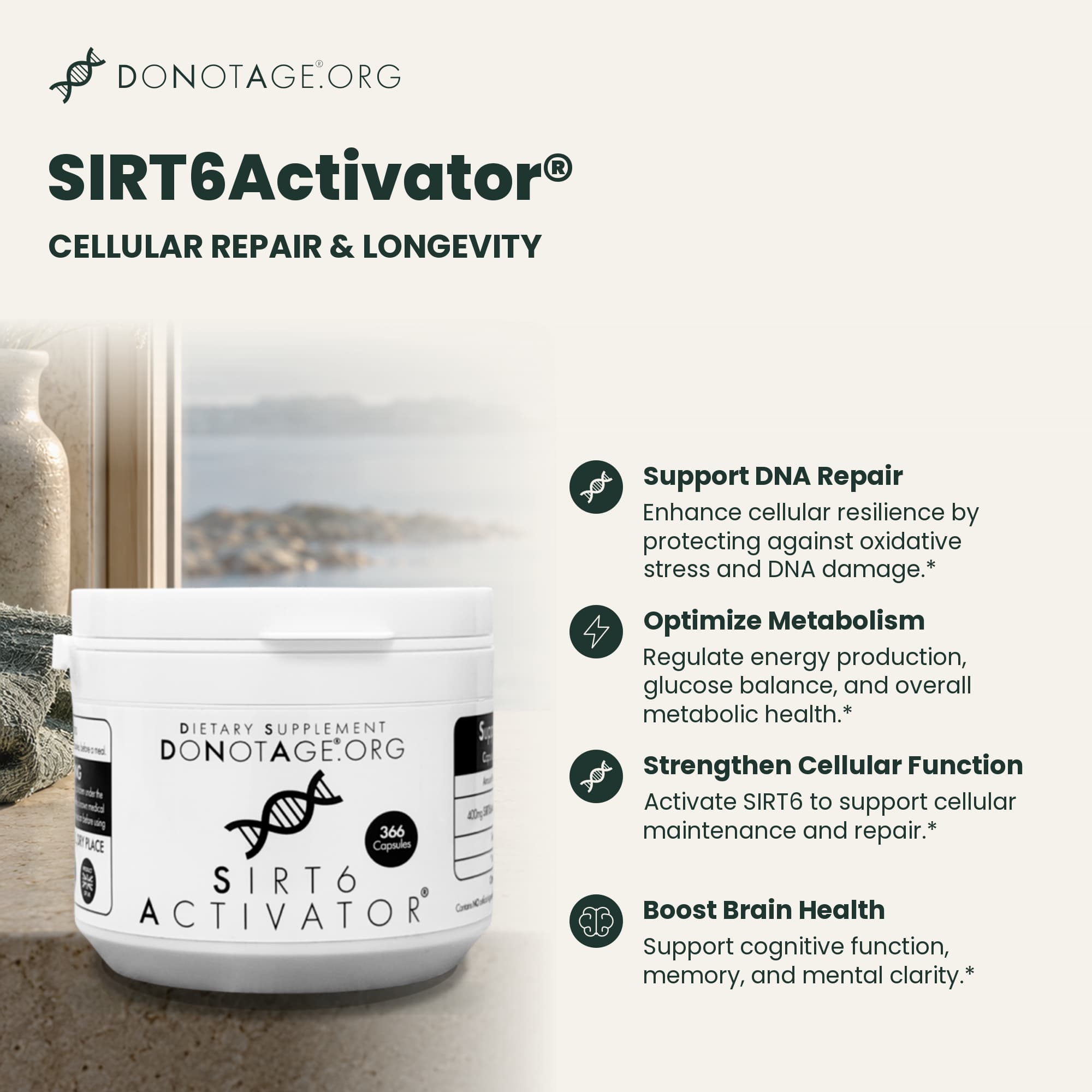 SIRT6Activator®, View 2