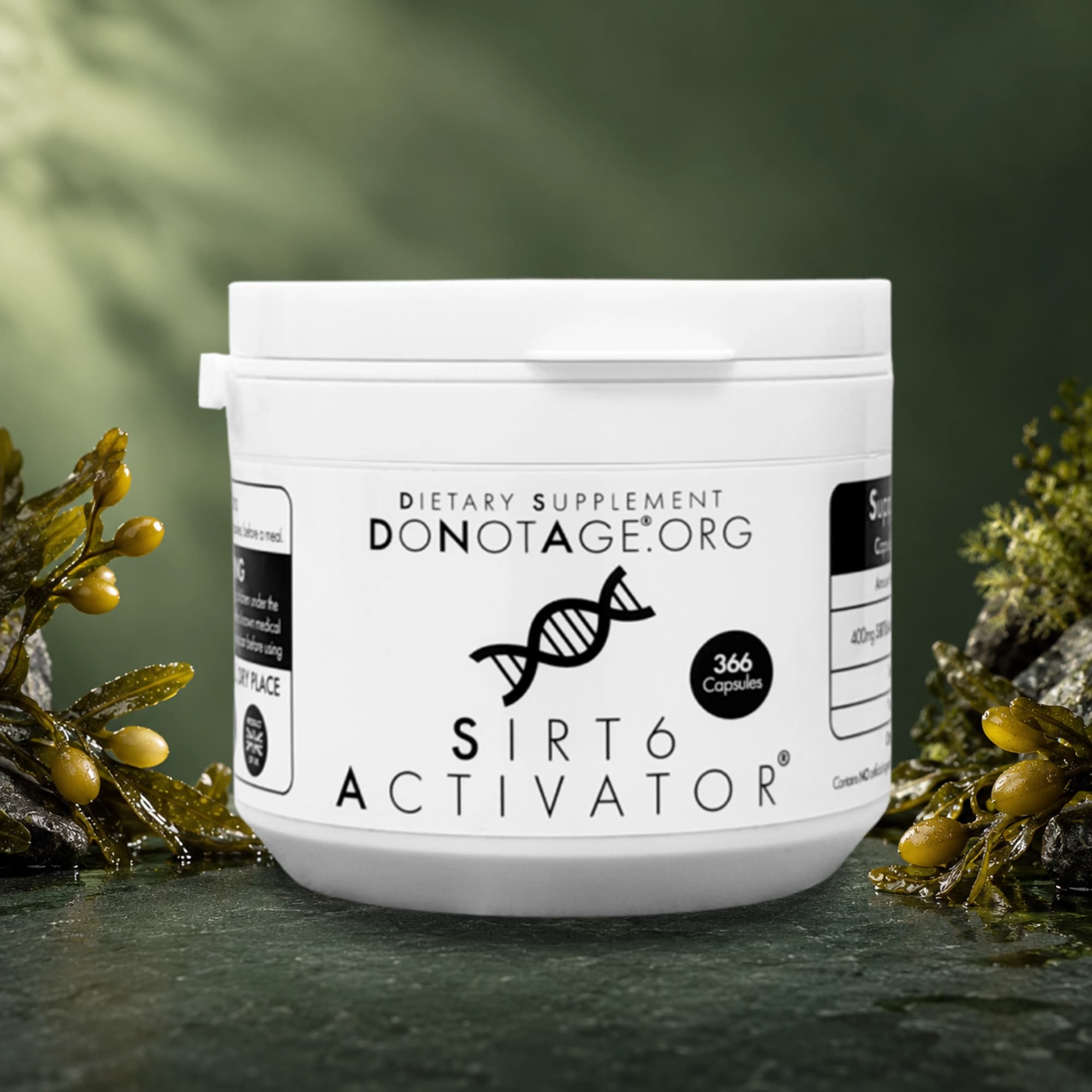 SIRT6Activator®, View 1