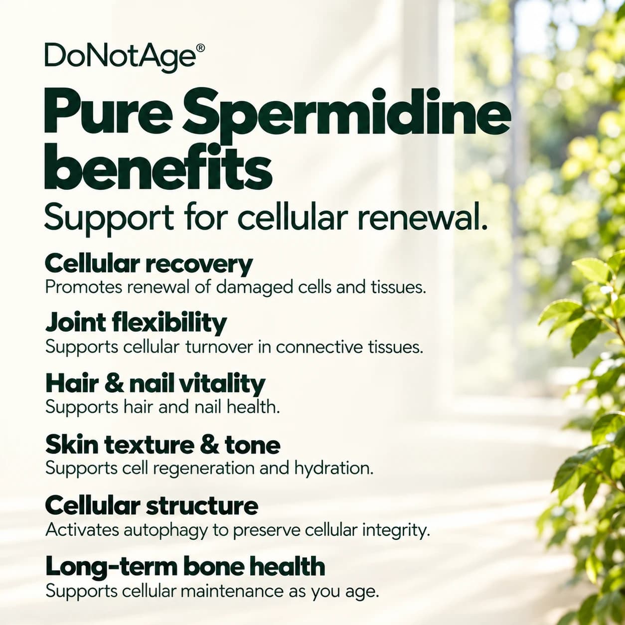 Pure Spermidine Supplement, View 4