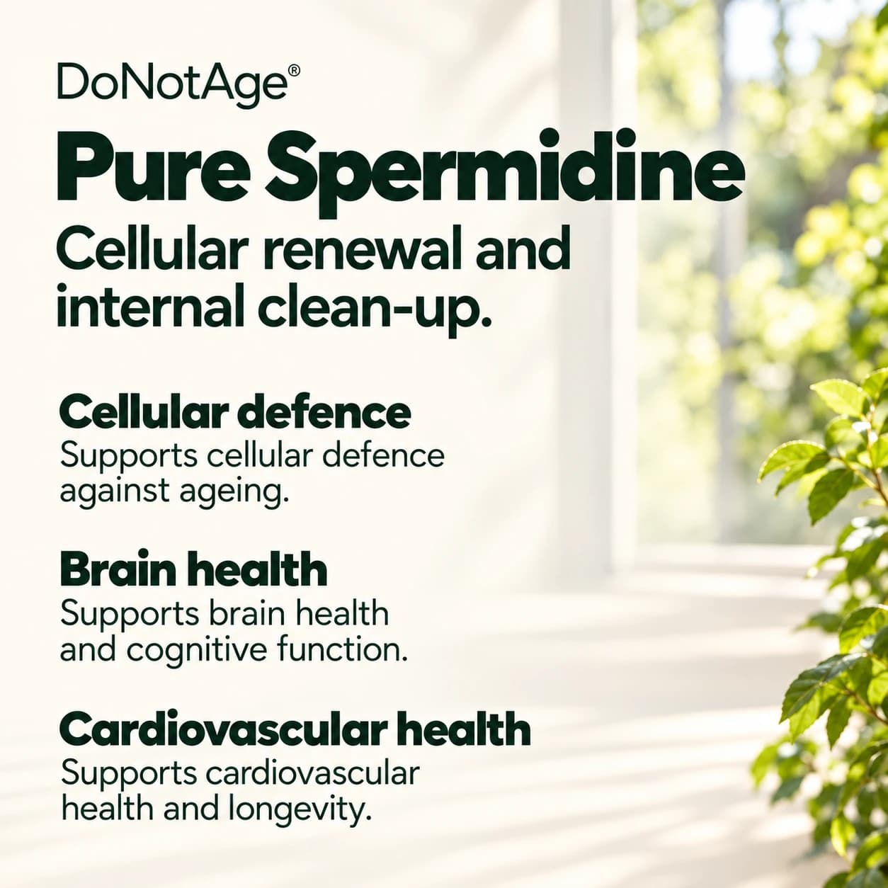 Pure Spermidine Supplement, View 5