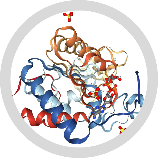 Ingredient illustration published with sirt6 activator