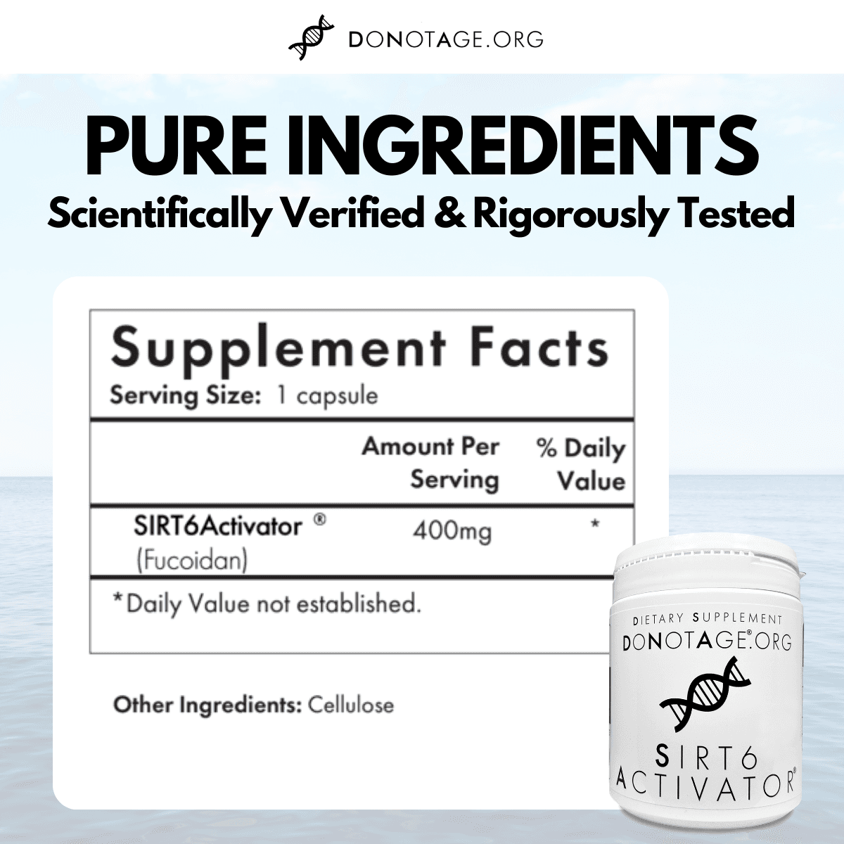 SIRT6Activator® reference label