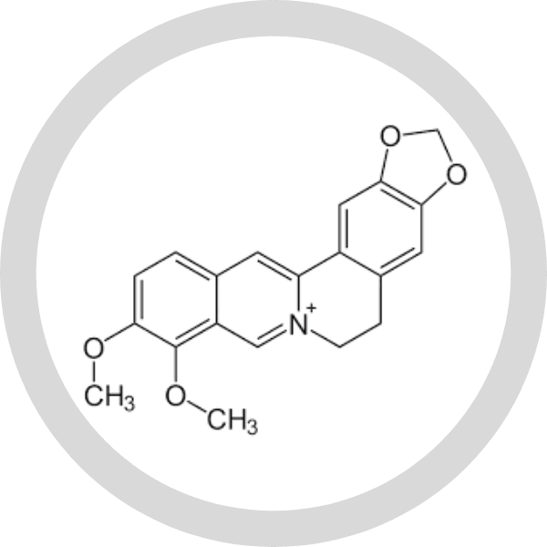Ingredient illustration published with pure berberine