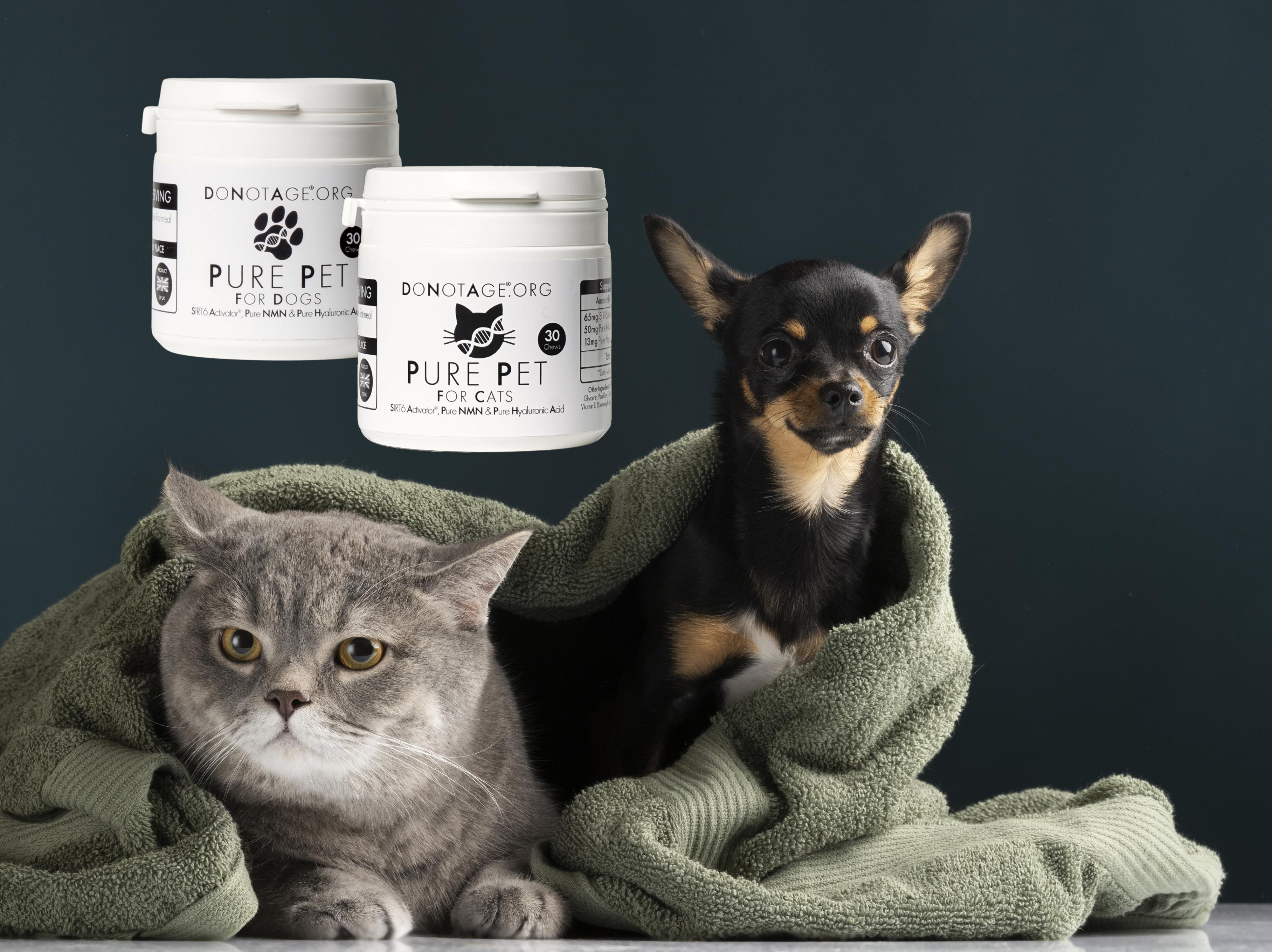Cat_and_Dog_with_Products.jpg