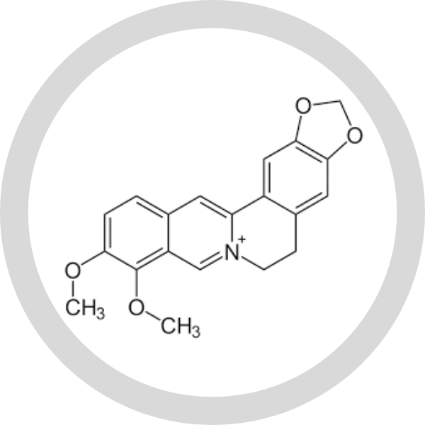 Berberine-6.png