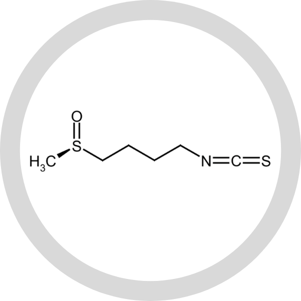 Sulforaphane-6.png