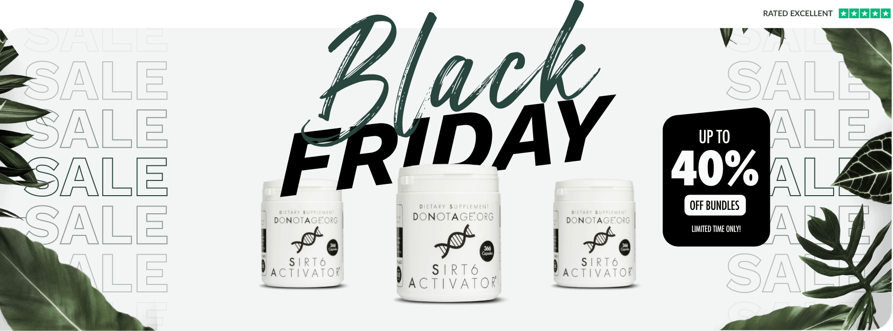 black-friday-hero.png