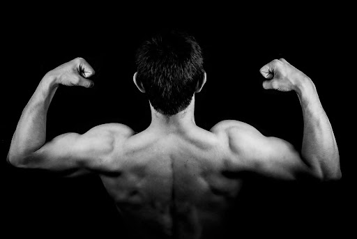 Muscle_LongevityWhy_Strength_Training_is_Essential_as_You_Age_3.jpg
