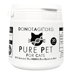 Pure Pet for Cats