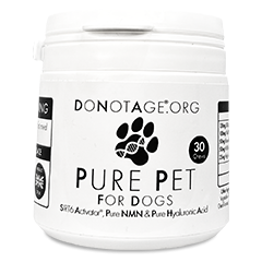 Pure Pet for Dogs